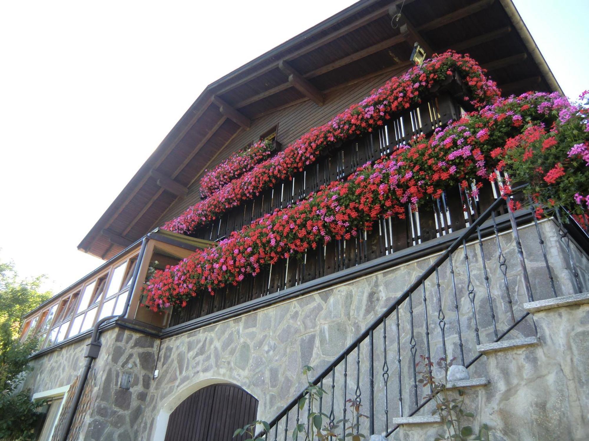 Alpenblick Bed & Breakfast Vipiteno Exterior foto