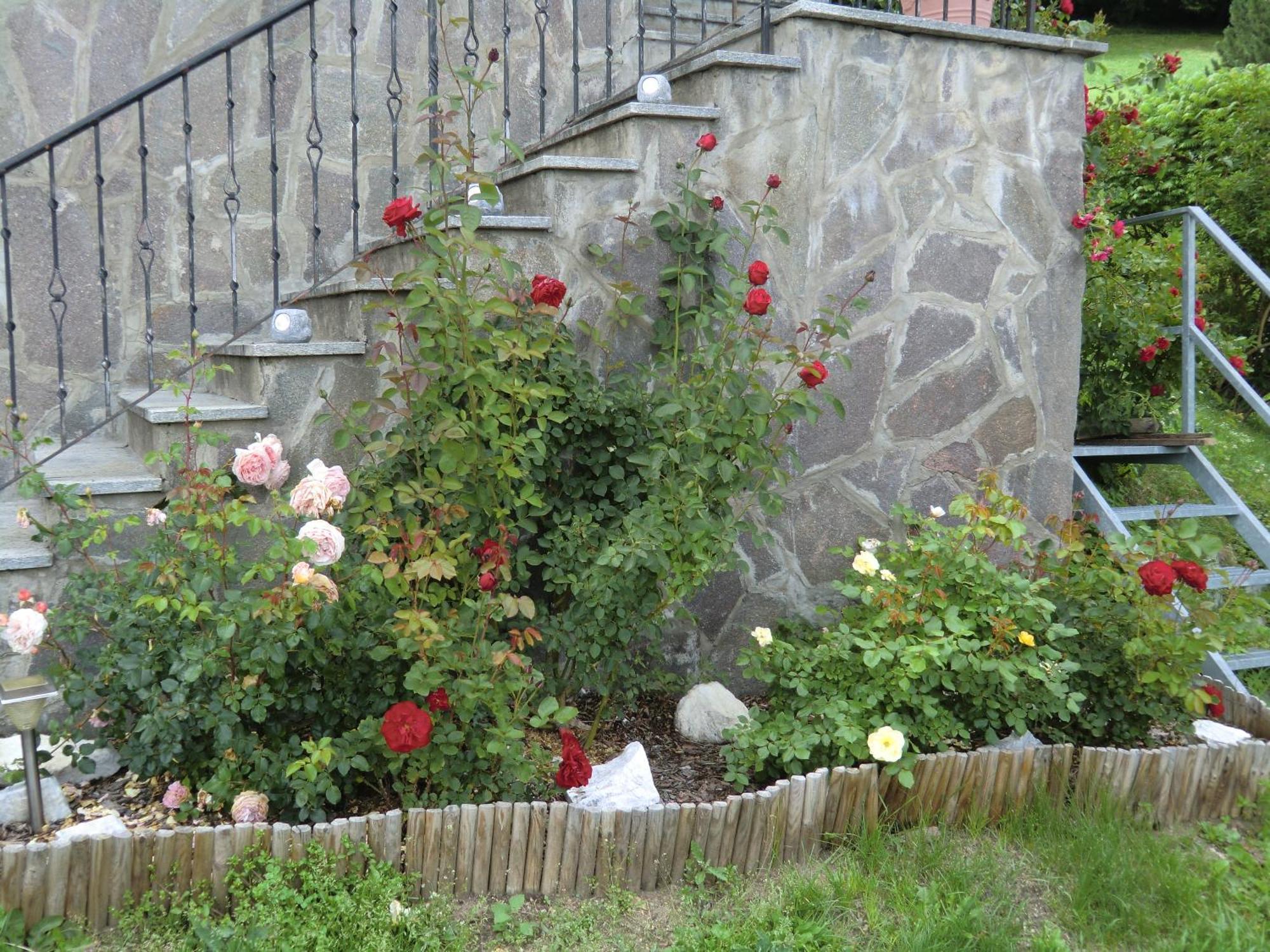Alpenblick Bed & Breakfast Vipiteno Exterior foto